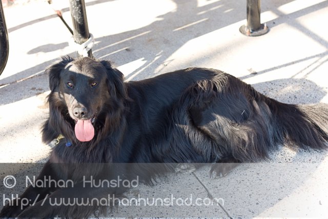 Grand_Avenue_2008-08-24_IMG_1517